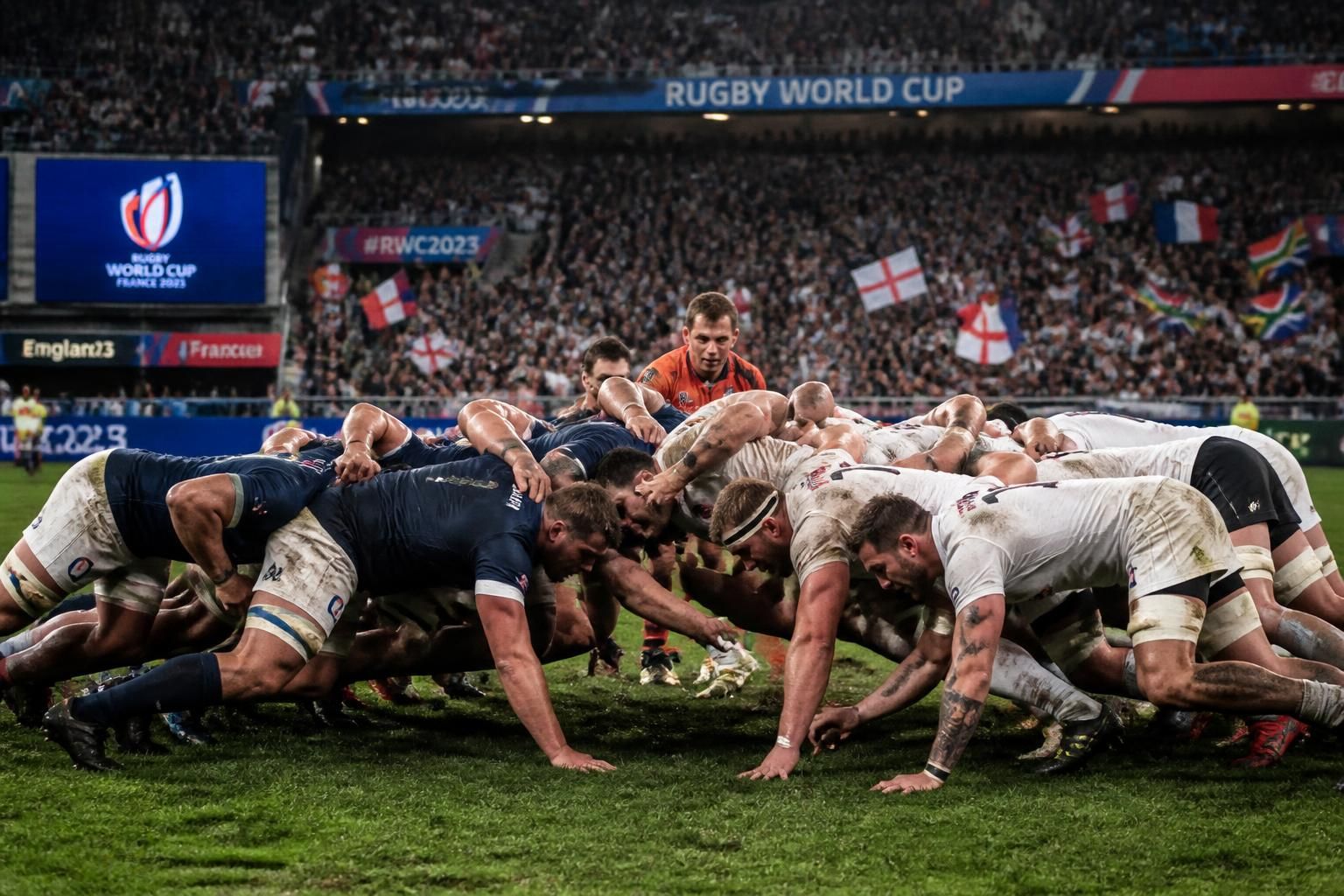 discover the rugby championship of nations, exploring its origins, teams, and why it's a must-watch event for rugby fans worldwide.